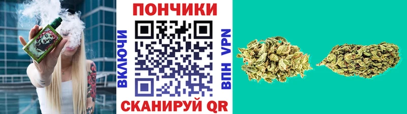 ГАШ Лермонтов