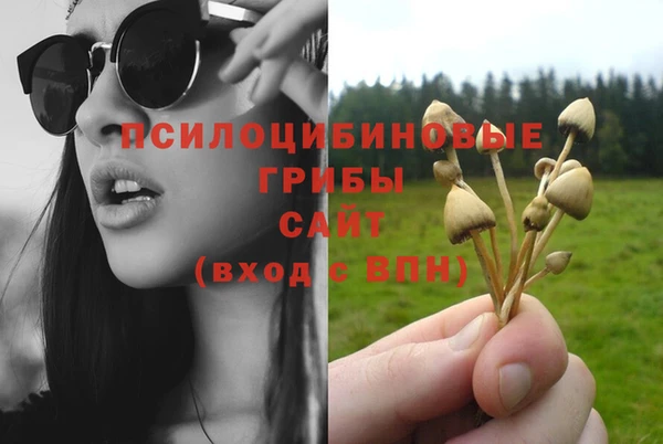 дурь Алзамай