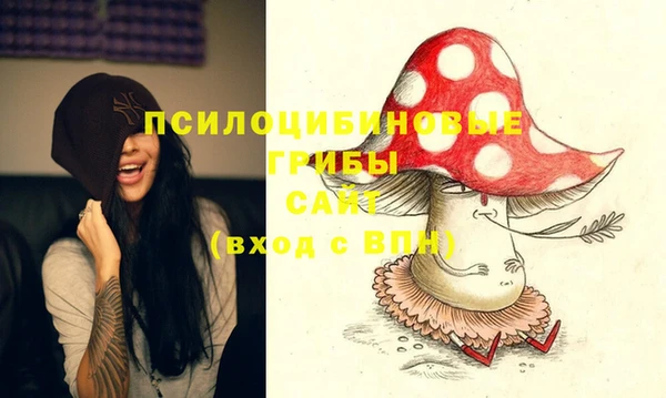 дурь Алзамай